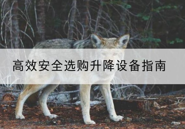 昌吉升降货梯厂家推荐-*安全选购升降设备指南