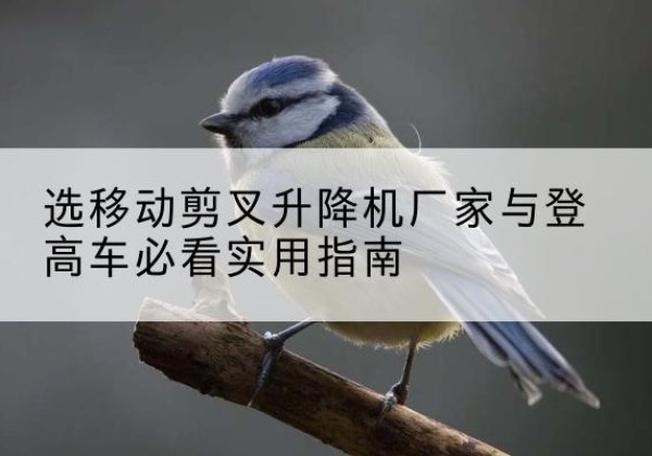 昌吉电动升降机厂家-选移动剪叉升降机厂家与登高车必看实用指南